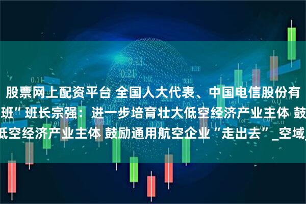 股票网上配资平台 全国人大代表、中国电信股份有限公司抚州分公司“宗强班”班长宗强：进一步培育壮大低空经济产业主体 鼓励通用航空企业“走出去”_空域_管理